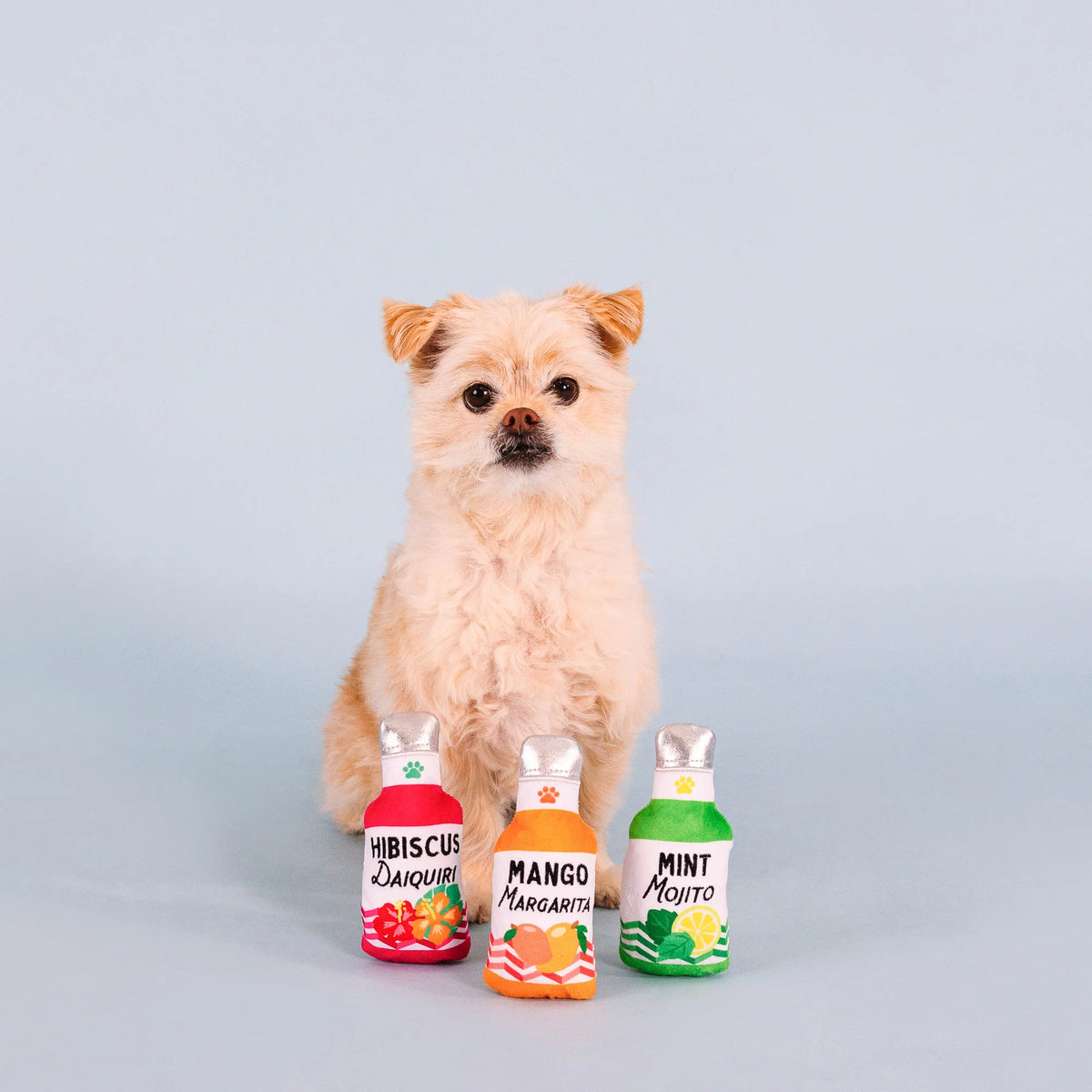 Petshop by Fringe Studio - Dog Toy From The Cooler (3 Piece Set)