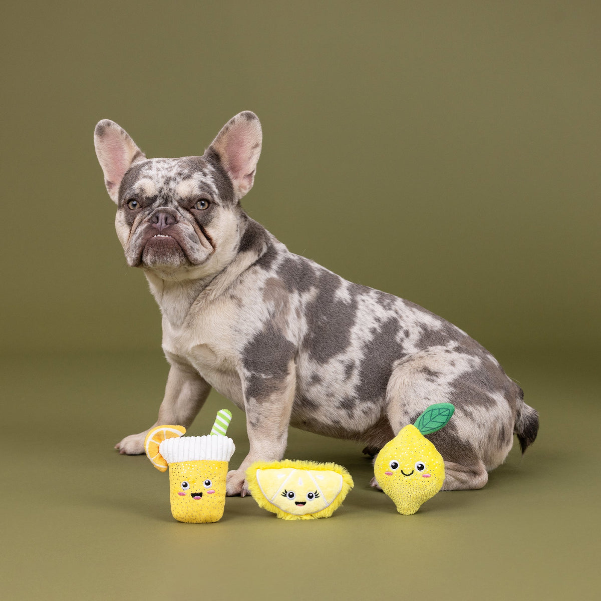 Petshop by Fringe Studio - Dog Toy Sour You Doing? (3 Piece Set)