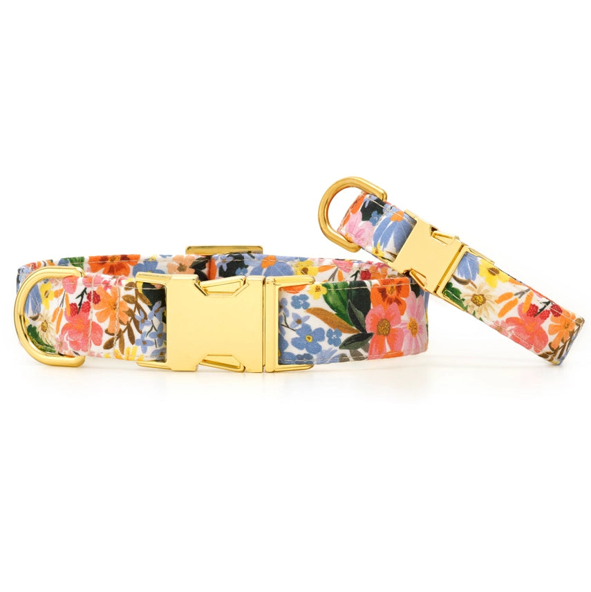 Dog Collar Rifle Paper Co x TFD Marguerite w/ Gold Hardware