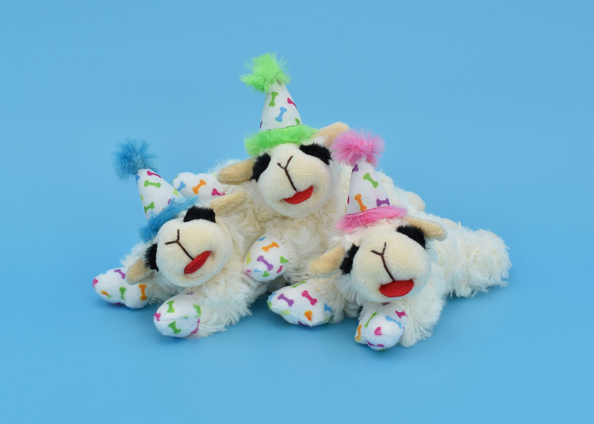Multipet - Lamb Chop with Birthday Hat Dog Toy