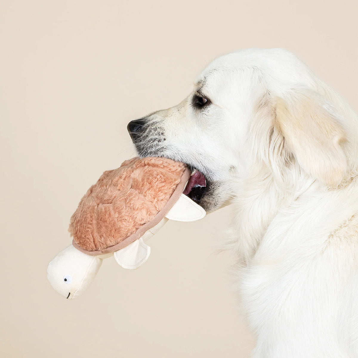 Petshop by Fringe Studio - Dog Toy Out Of My Shell Earth