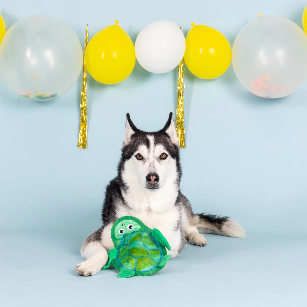 Petshop by Fringe Studio - Dog Toy Durable Shell of a Time