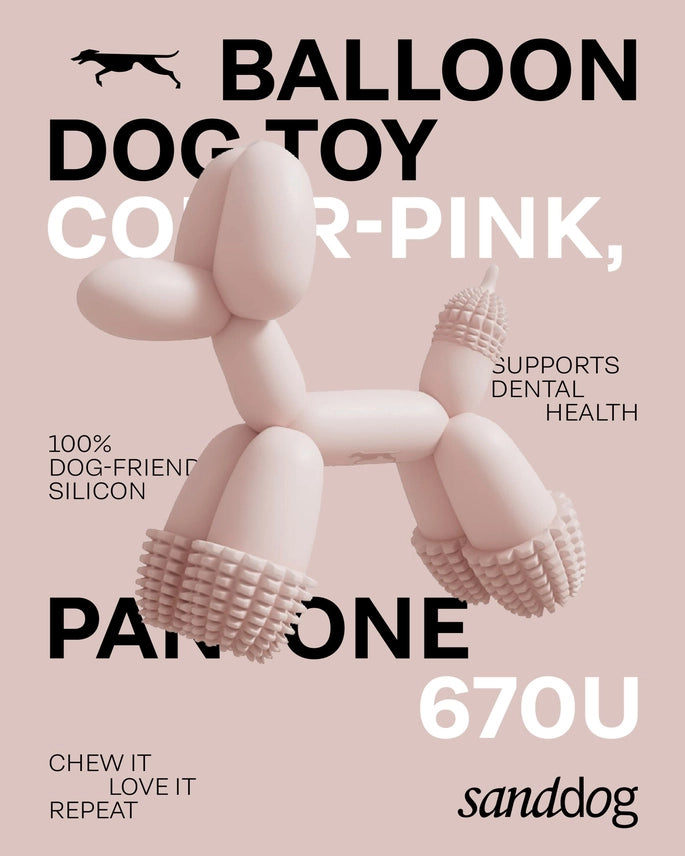 Art Balloon Dog Toy