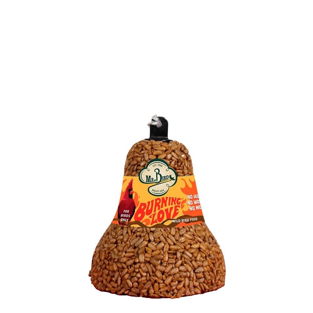 Mr. Bird - Burning Love Bell