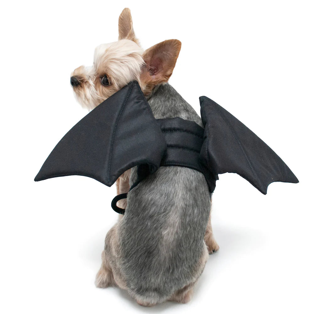 Dogo Pet Bat Wings Costume