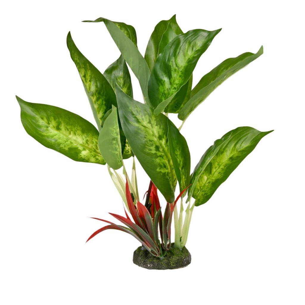 Blue Ribbon - Dieffenbachia Variegated Leaf Ornament