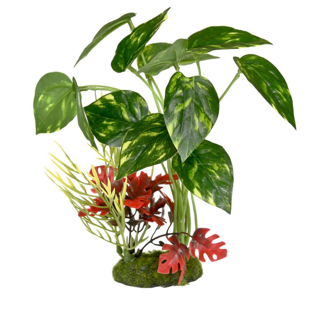 Blue Ribbon - Pothos Variegated Cluster Ornament