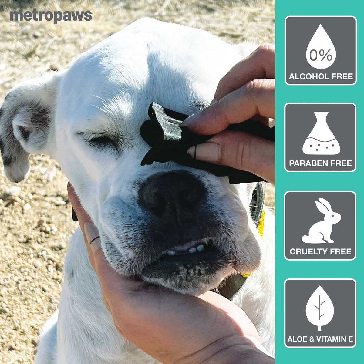 Metropaws - Metrowipes Charcoal & Peppermint