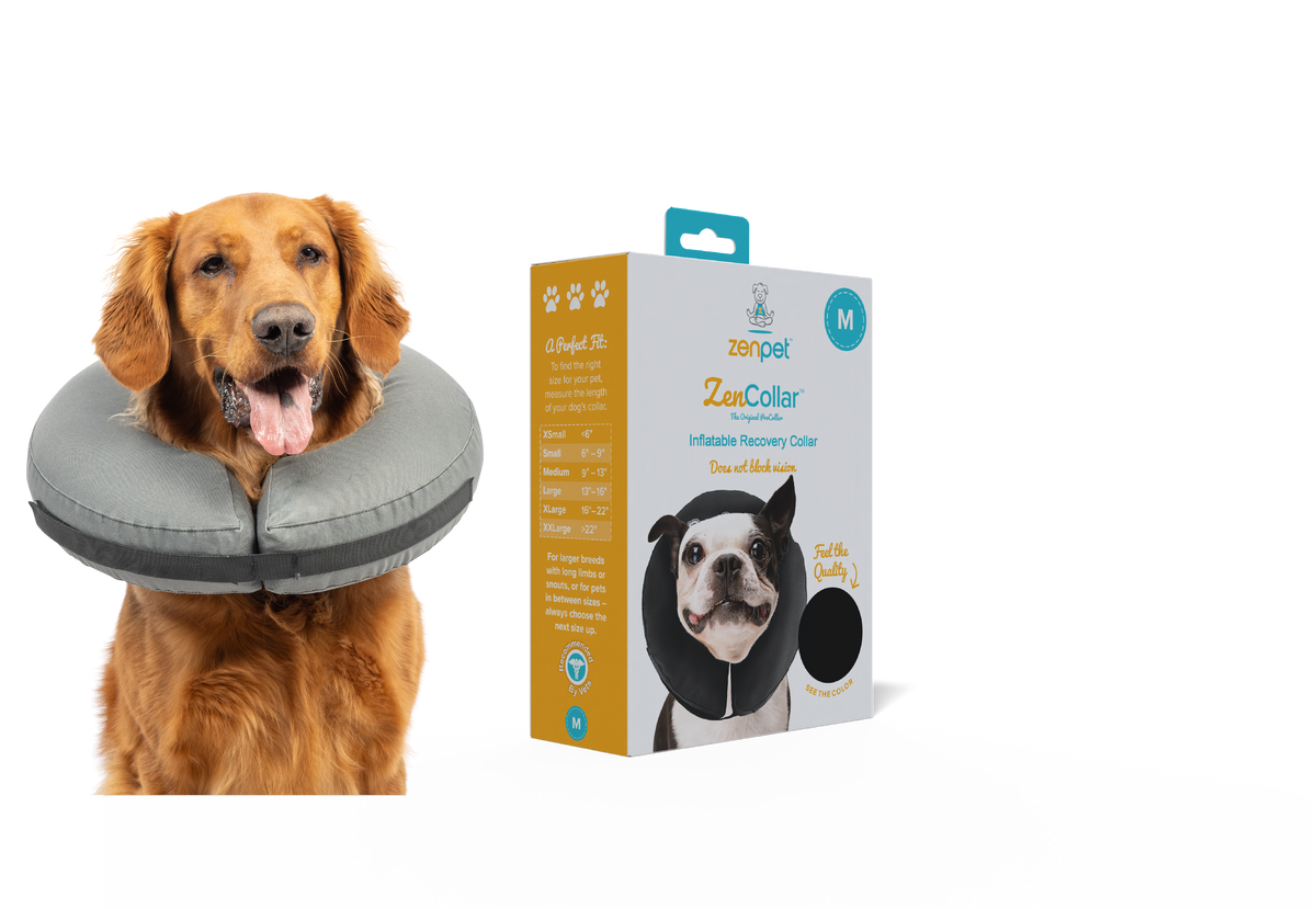 Zen Pro Inflatable Collar