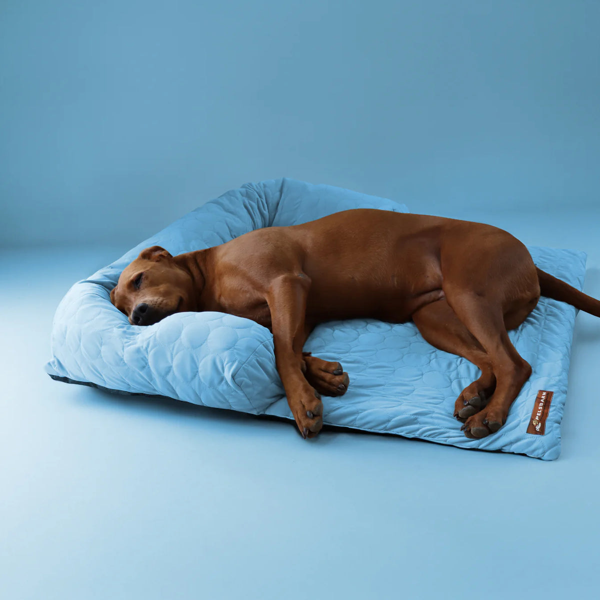 Pelsbarn - Cooling Dog Bed Heat Relief