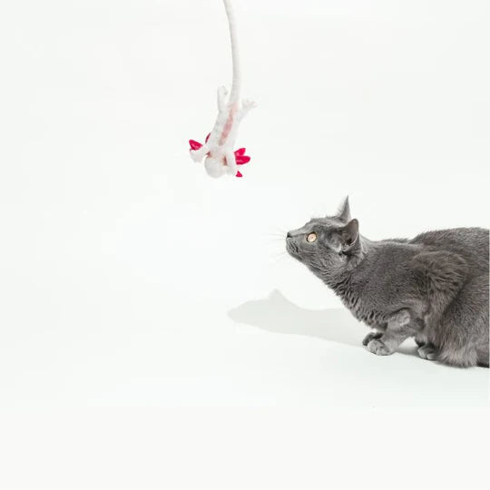 Cat in the Box - Wool Axolotl Cat Toy 5-Foot Long Tether