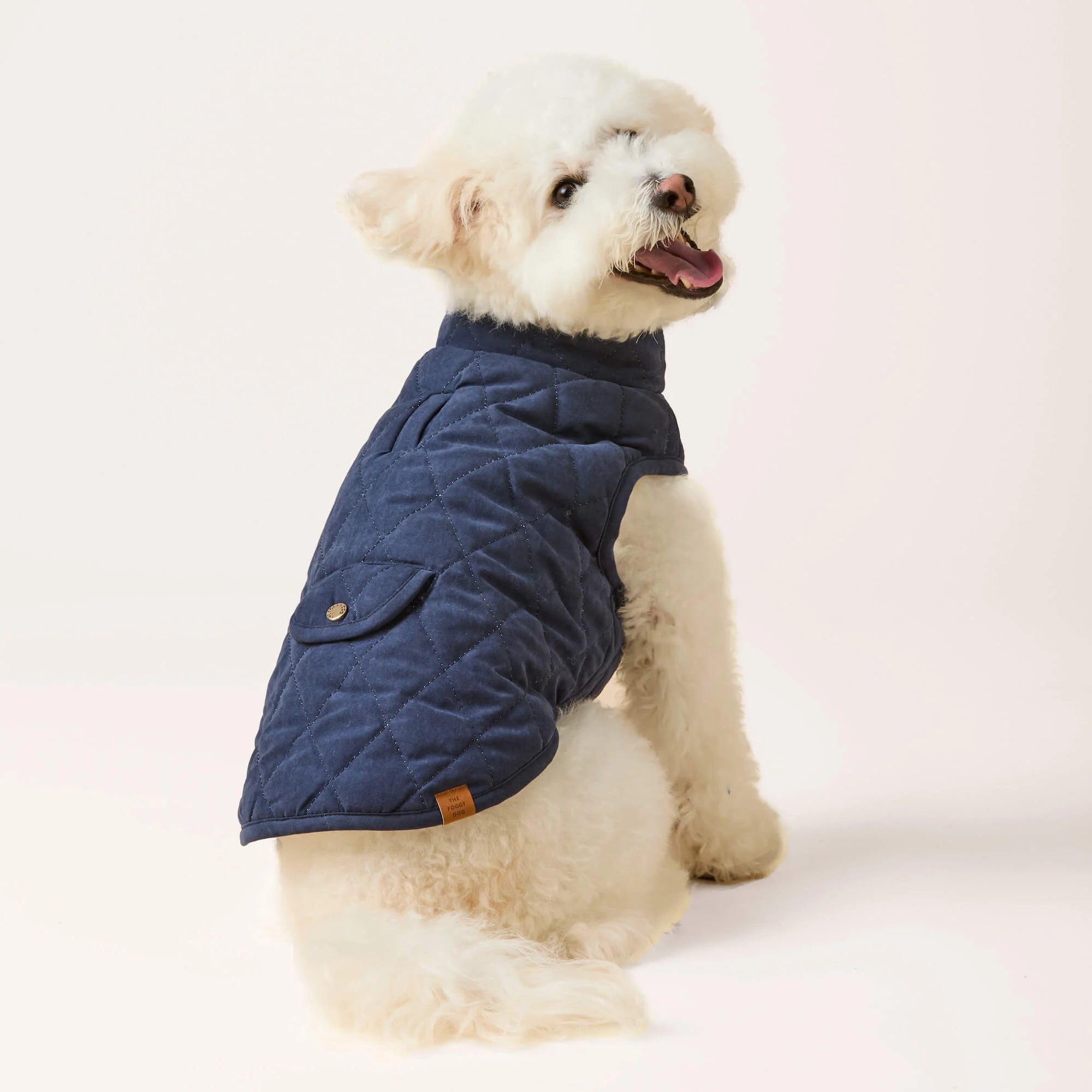 Foggy Dog - Dog Jacket Navy Sherpa-Lined Reversible
