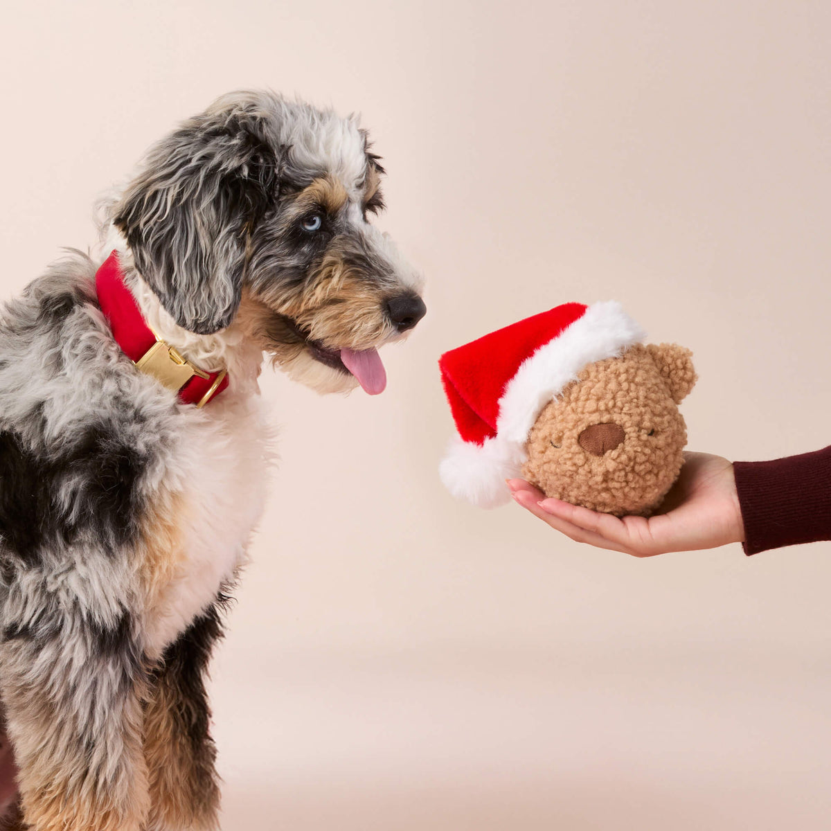 Dog Toy Santa Teddy Bear 2 in 1 Bounce