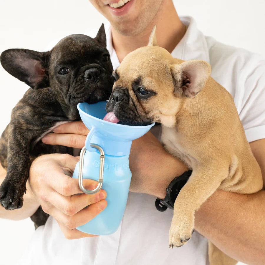 Springland Pets - Travel Water Bottle For Dogs 15 oz.