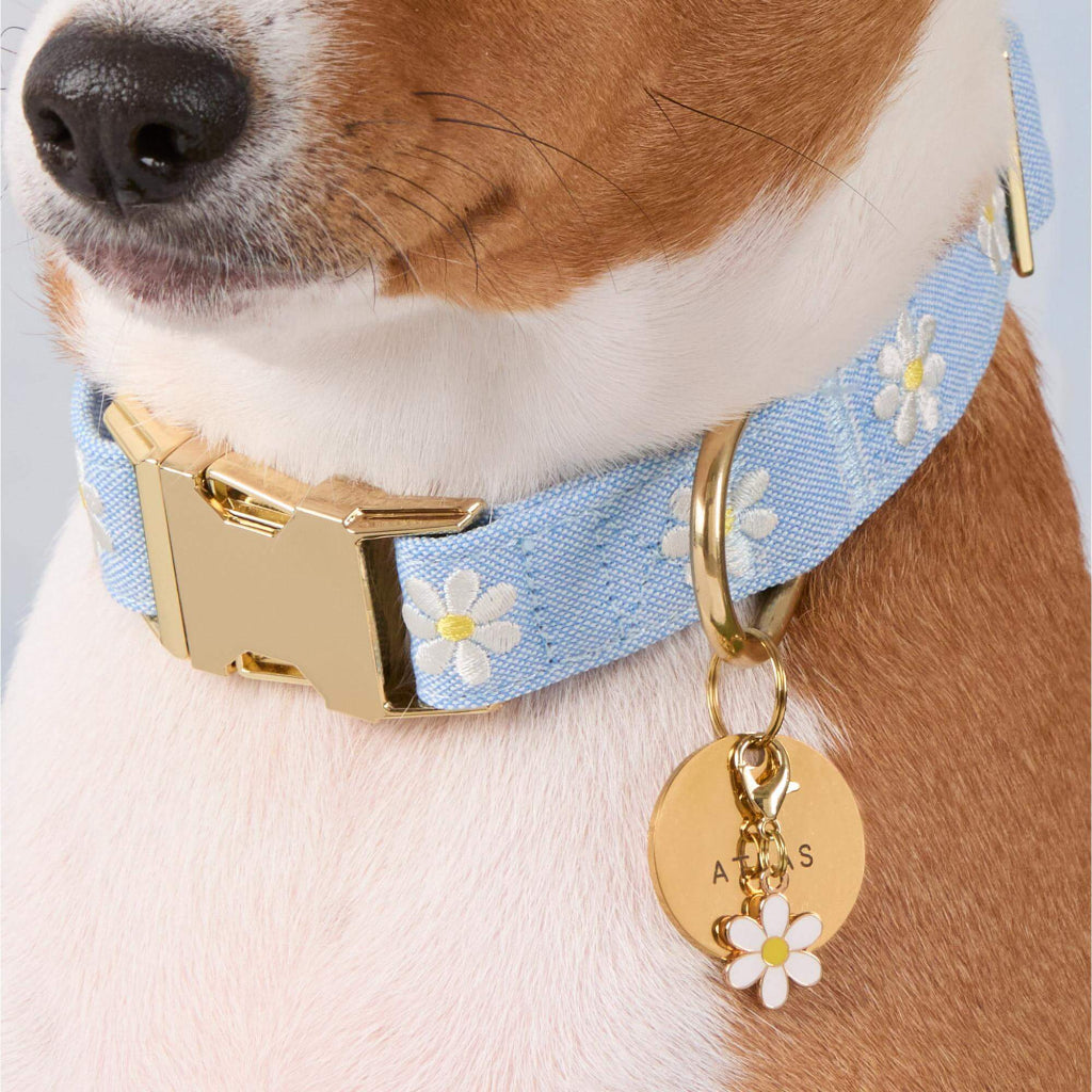 Foggy Dog - Dog Collar Daisy Embroidered