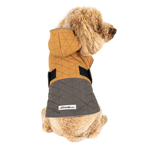 Puffer Coat Petrageous Dog Coats Petrageous Designs Eddie Bauer