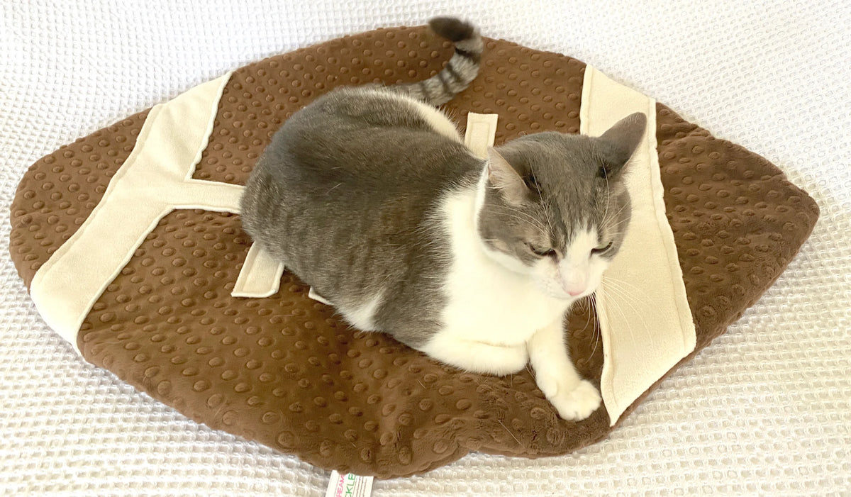 Screaming Pickles - Pet Bed Football