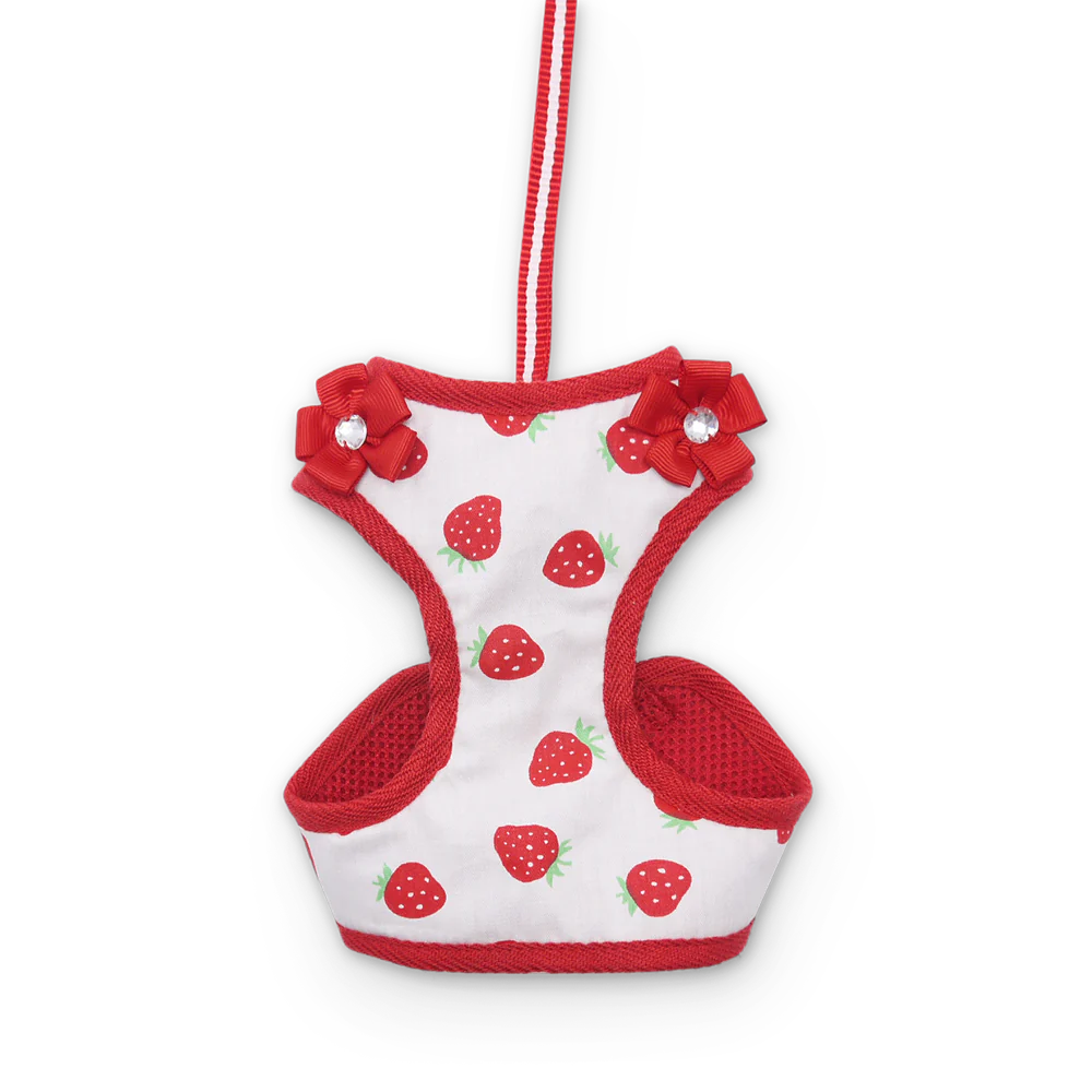 Dogo Pet - EasyGo Strawberry Harness & Lead