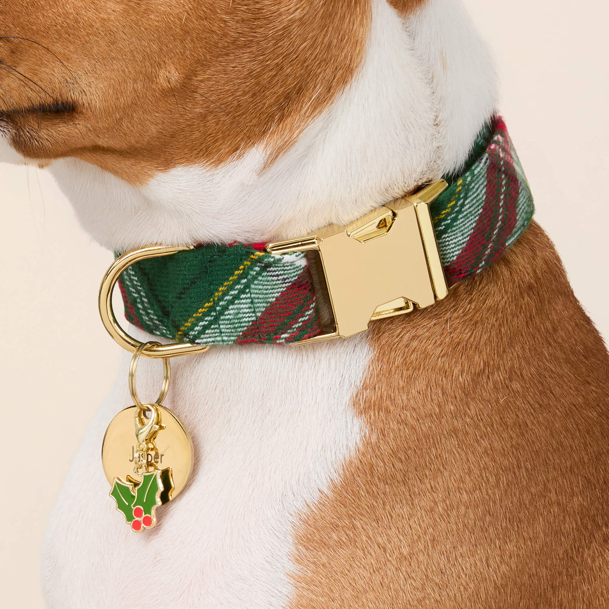 Dog Collar Holly Jolly Flannel