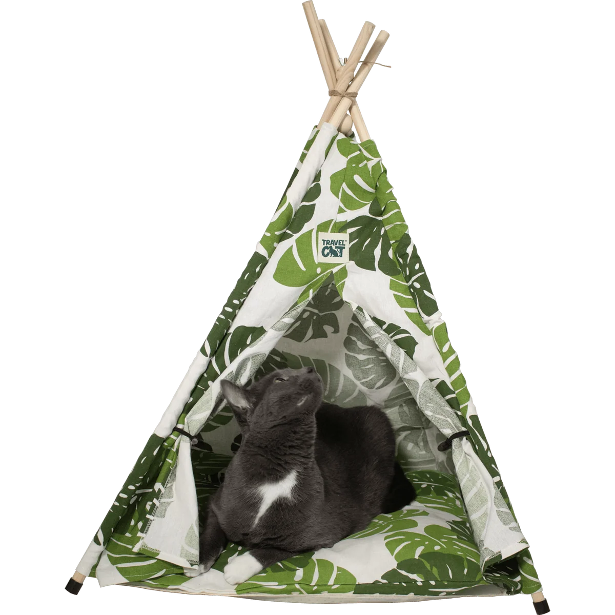 Travel Cat - Tent Bed For Cats Monstera