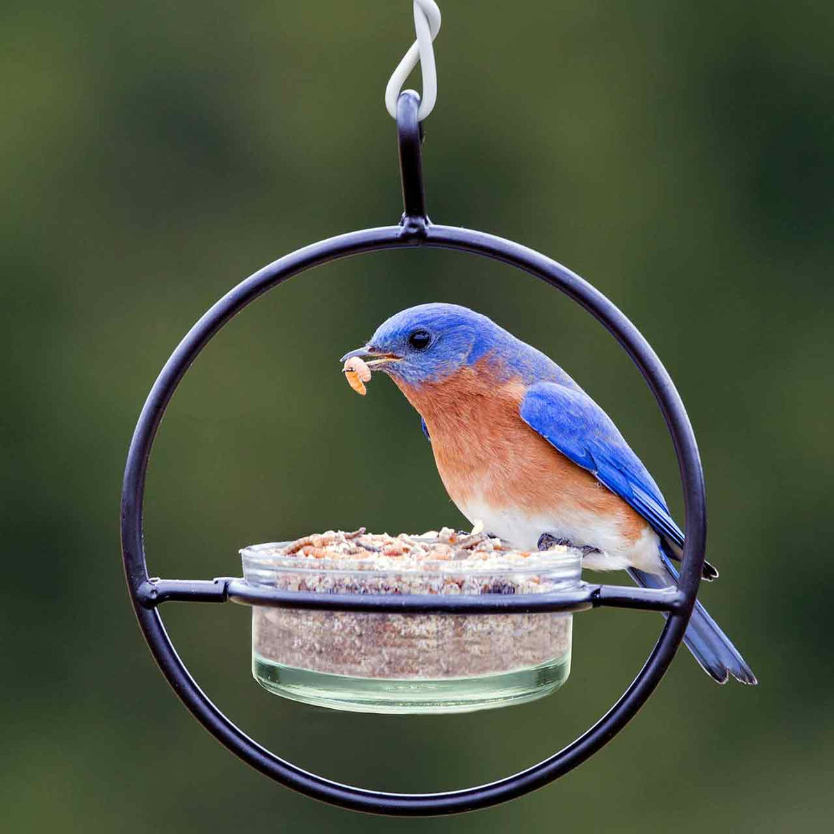 Couronne Co - Bird Feeder Basic Mosaic Birds