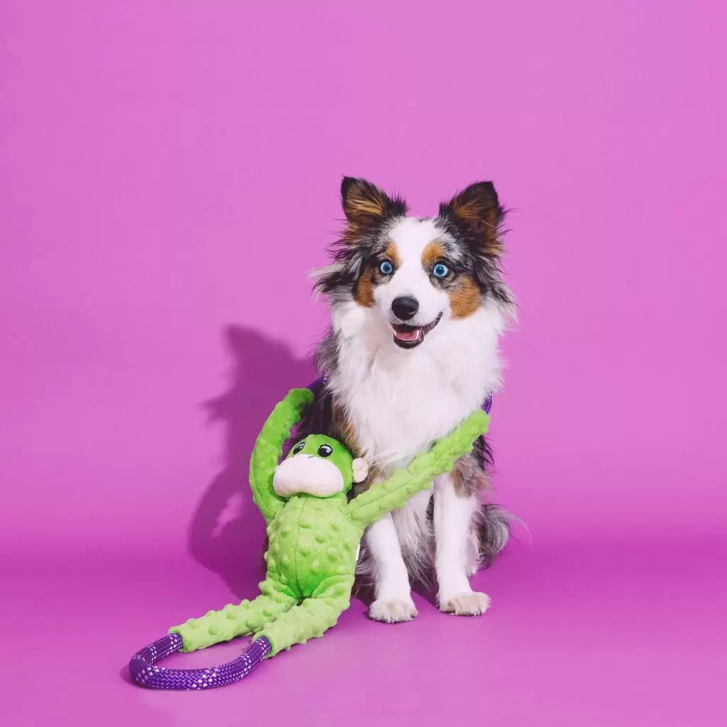 ZippyPaws - Monkey Rope Tugz - Green
