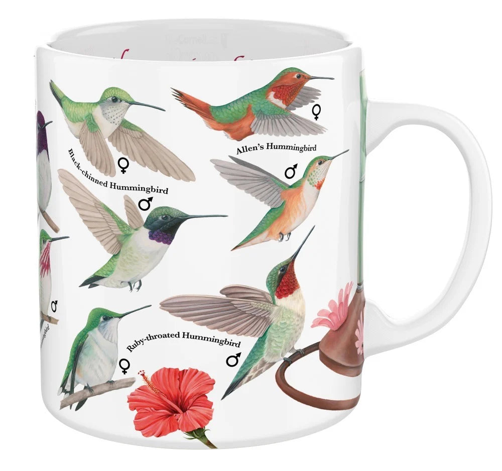 New York Puzzle Co. - Hummingbird Mug