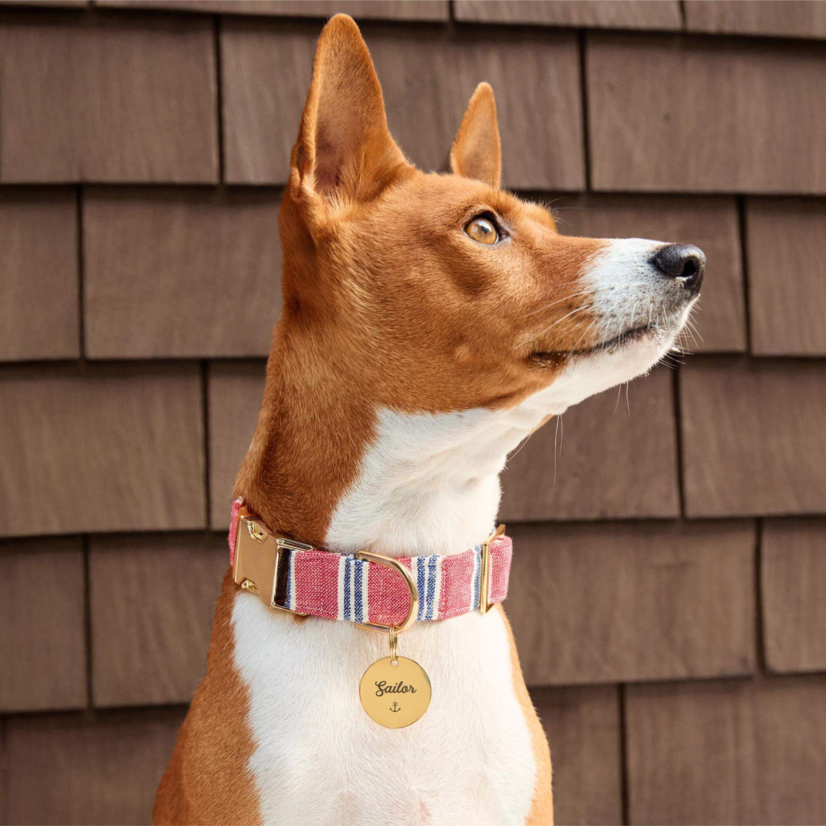 The Foggy Dog - Dog Collar Nantucket Stripe