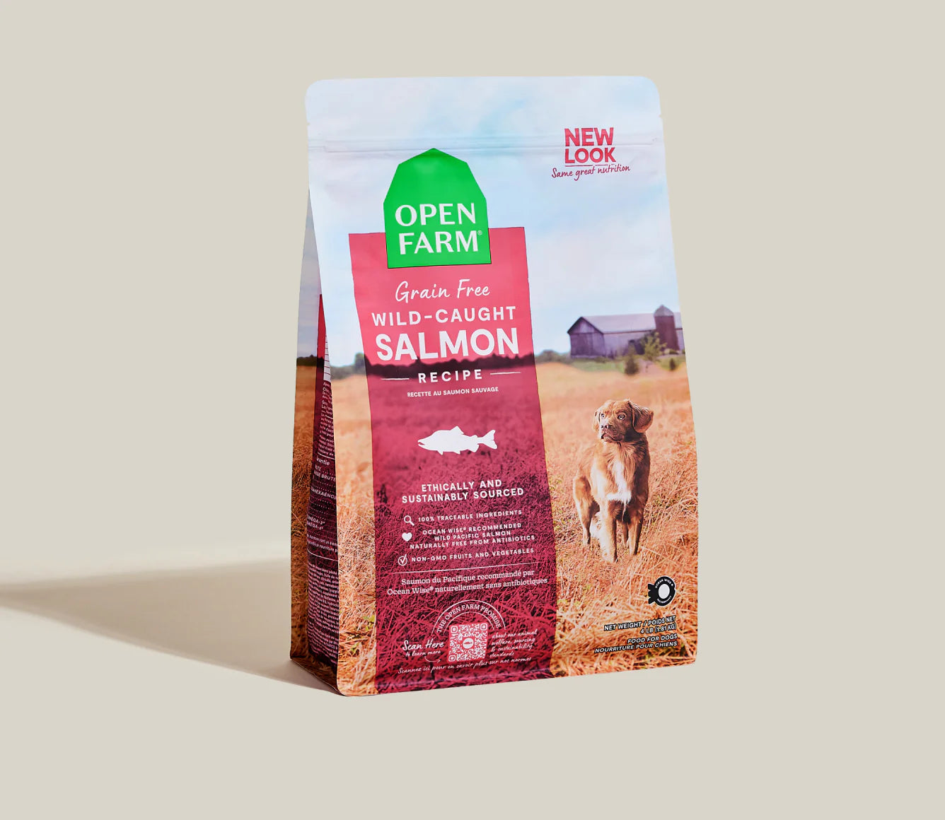 Salmon And Lentils Grain Free Dog Food photo