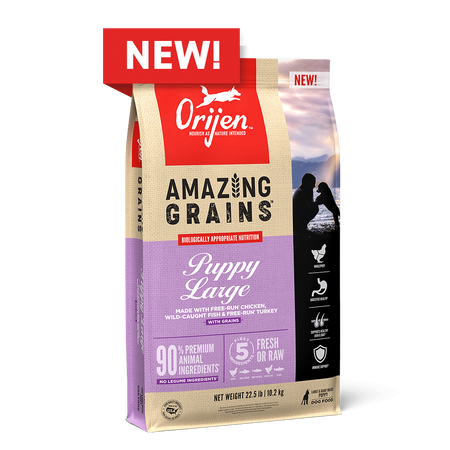 Champion Petfoods Orijen - Orijen Amazing Grains Puppy Large Breed Dog Food
