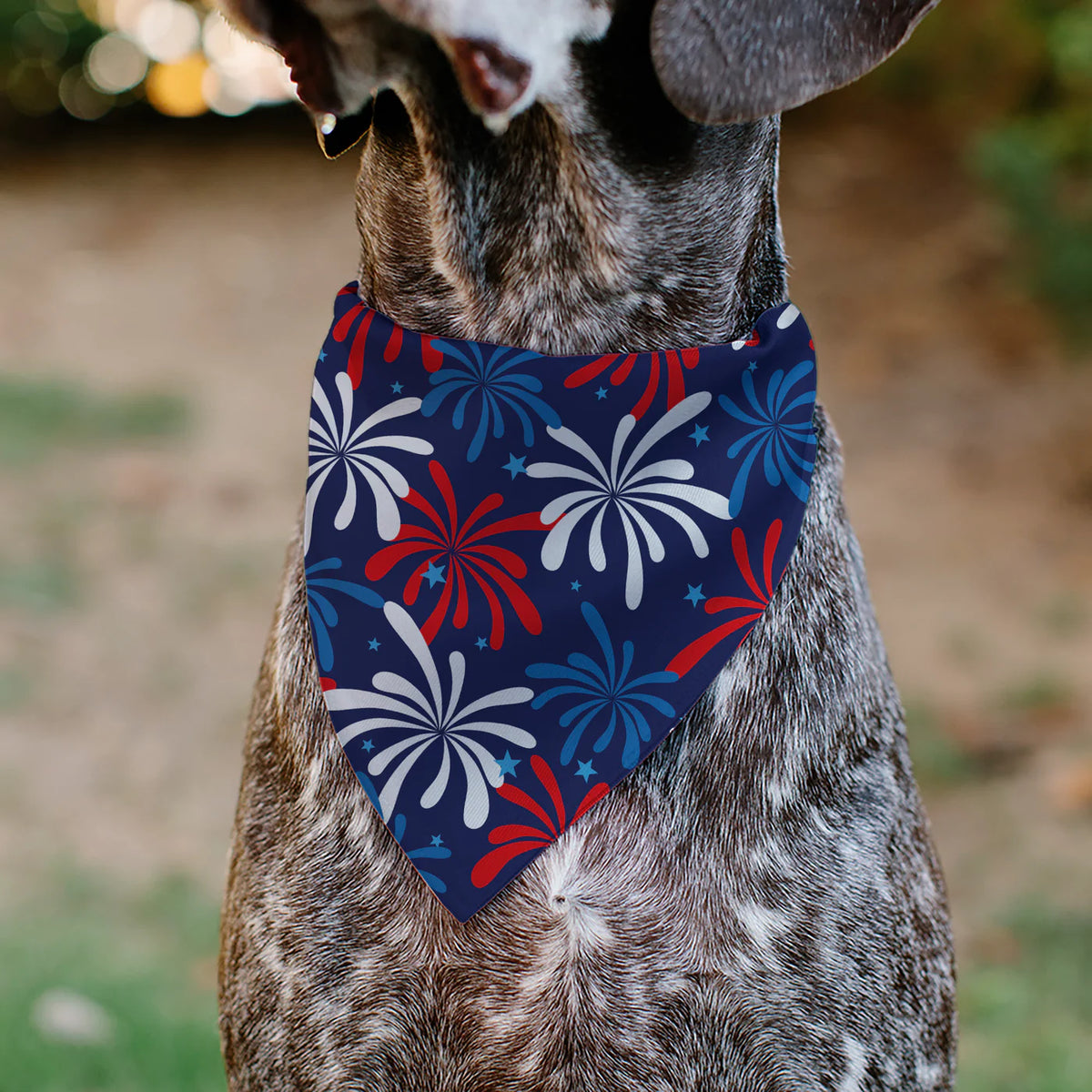 Buckle Down - Pet Bandana Americana Fireworks Show