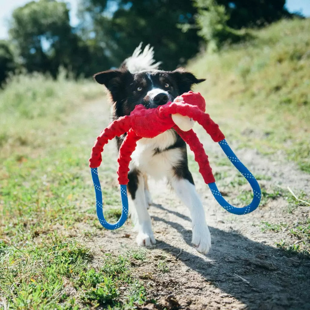 ZippyPaws - Monkey Rope Tugz Red