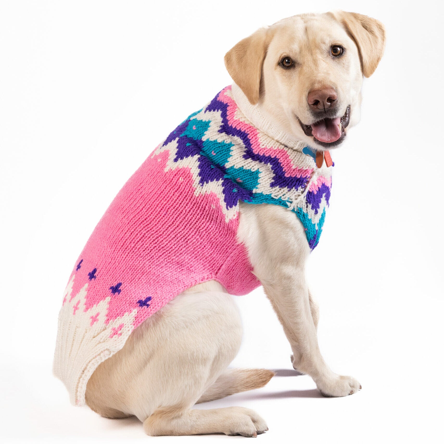 Chilly Dog