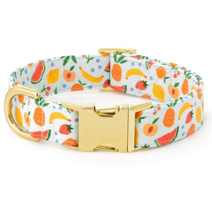 Dog Collar Fruit Salad Summer