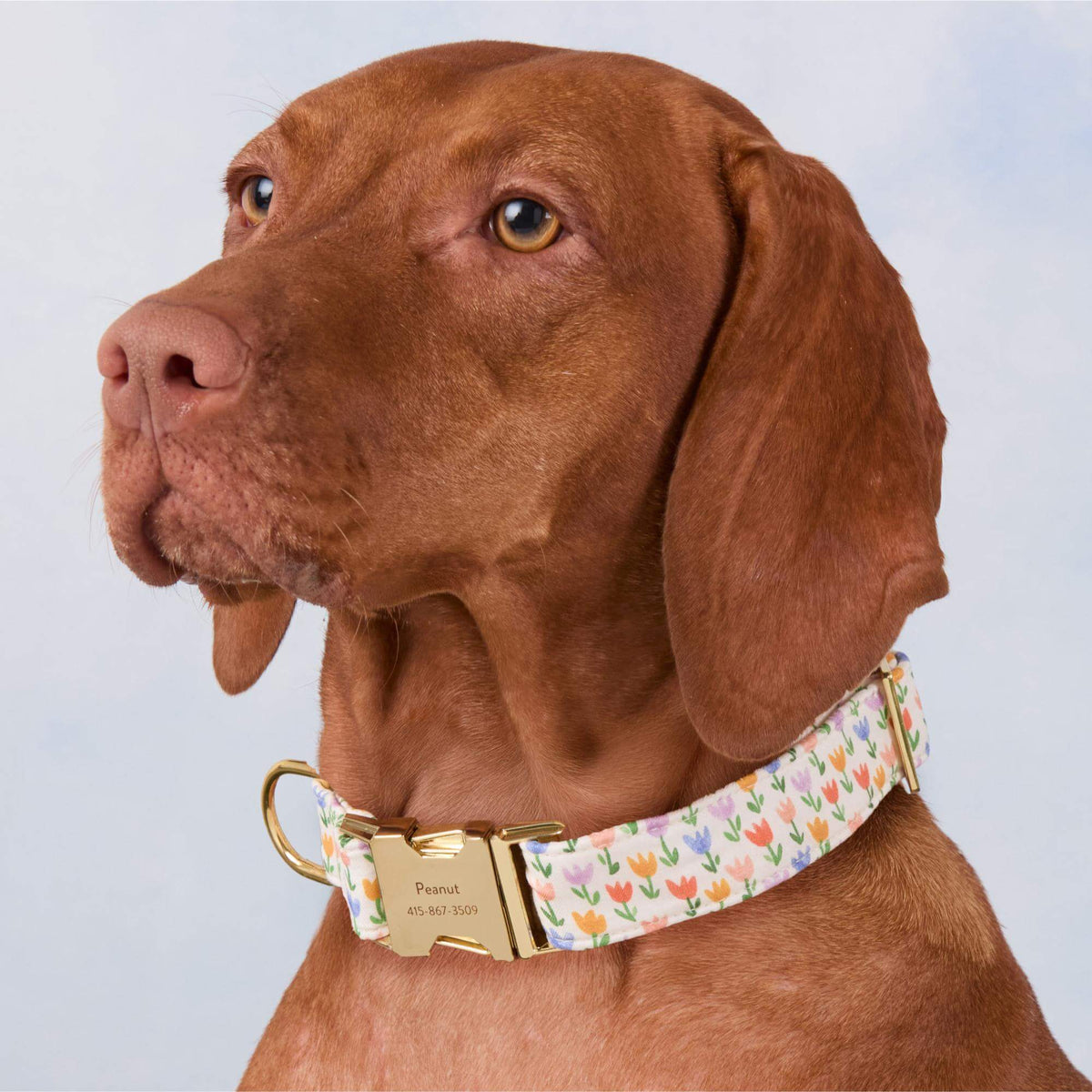 Foggy Dog - Dog Collar Tulip Garden