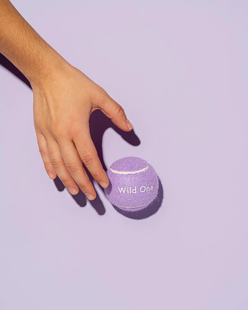 Wild One - Tennis Balls for Dogs (4 pack)