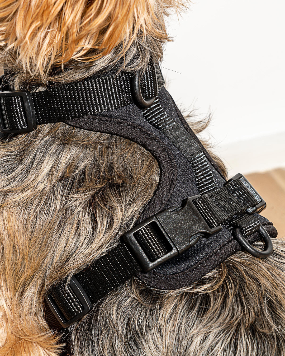 Wild One - Dog Harness Adjustable Comfort Black