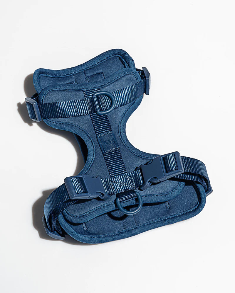 Wild One - Dog Harness Adjustable Comfort Navy