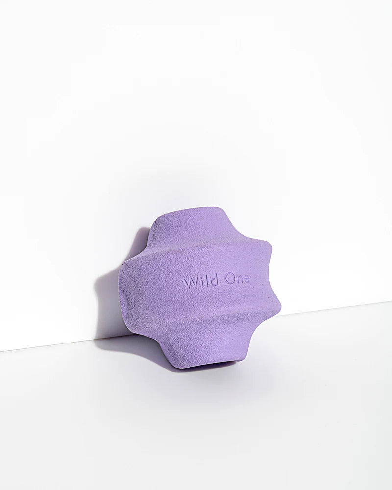 Wild One - Twist Toss Treat Dispensing Dog Toy Standard Size