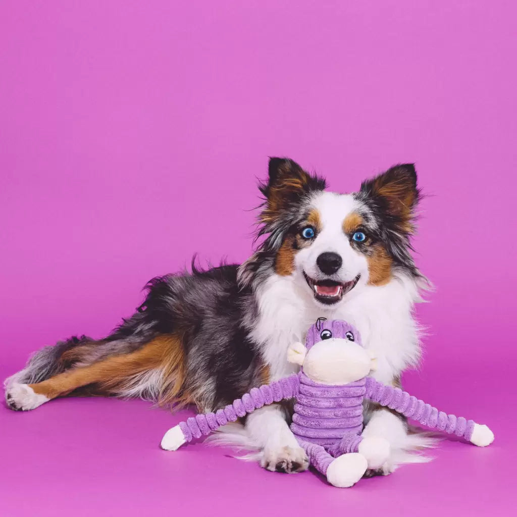 ZippyPaws - Spencer Crinkle Monkey Purple