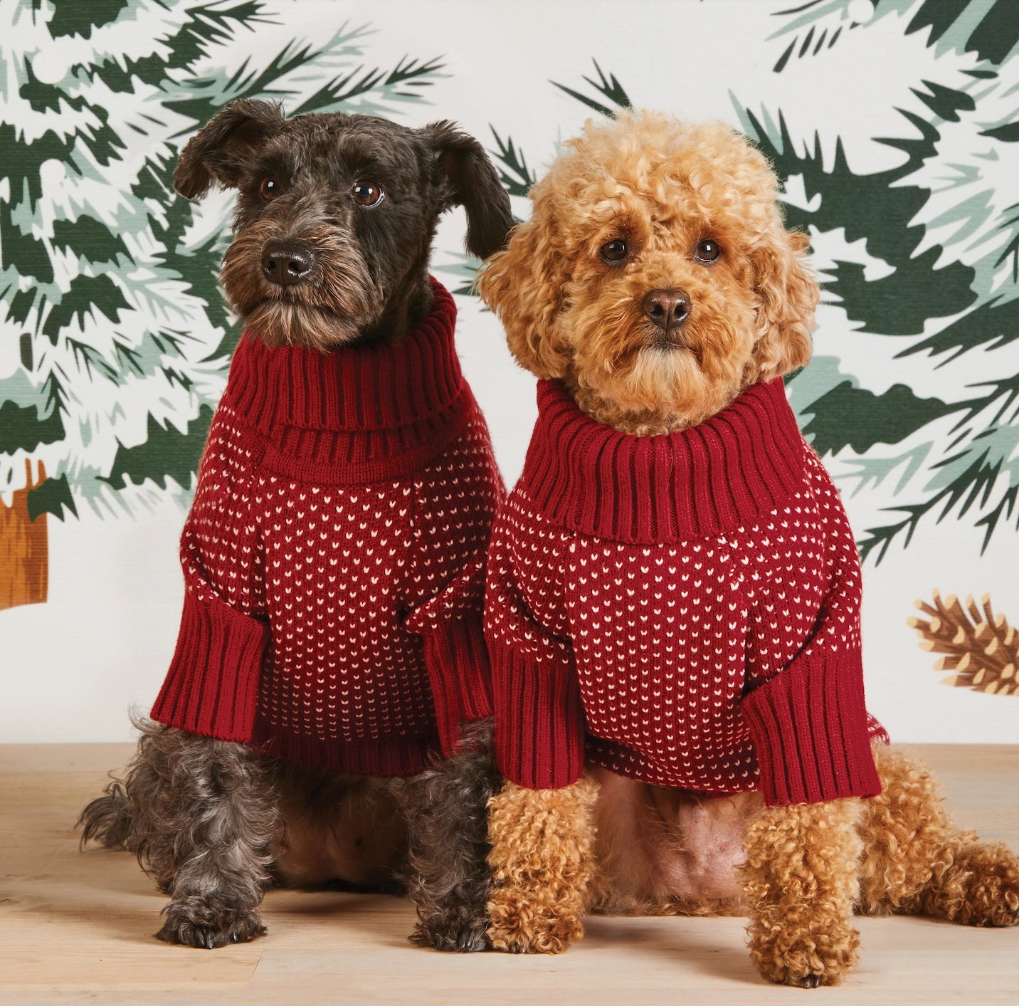 Heart Stitch Dog Sweater | Dog Sweater | Size XS