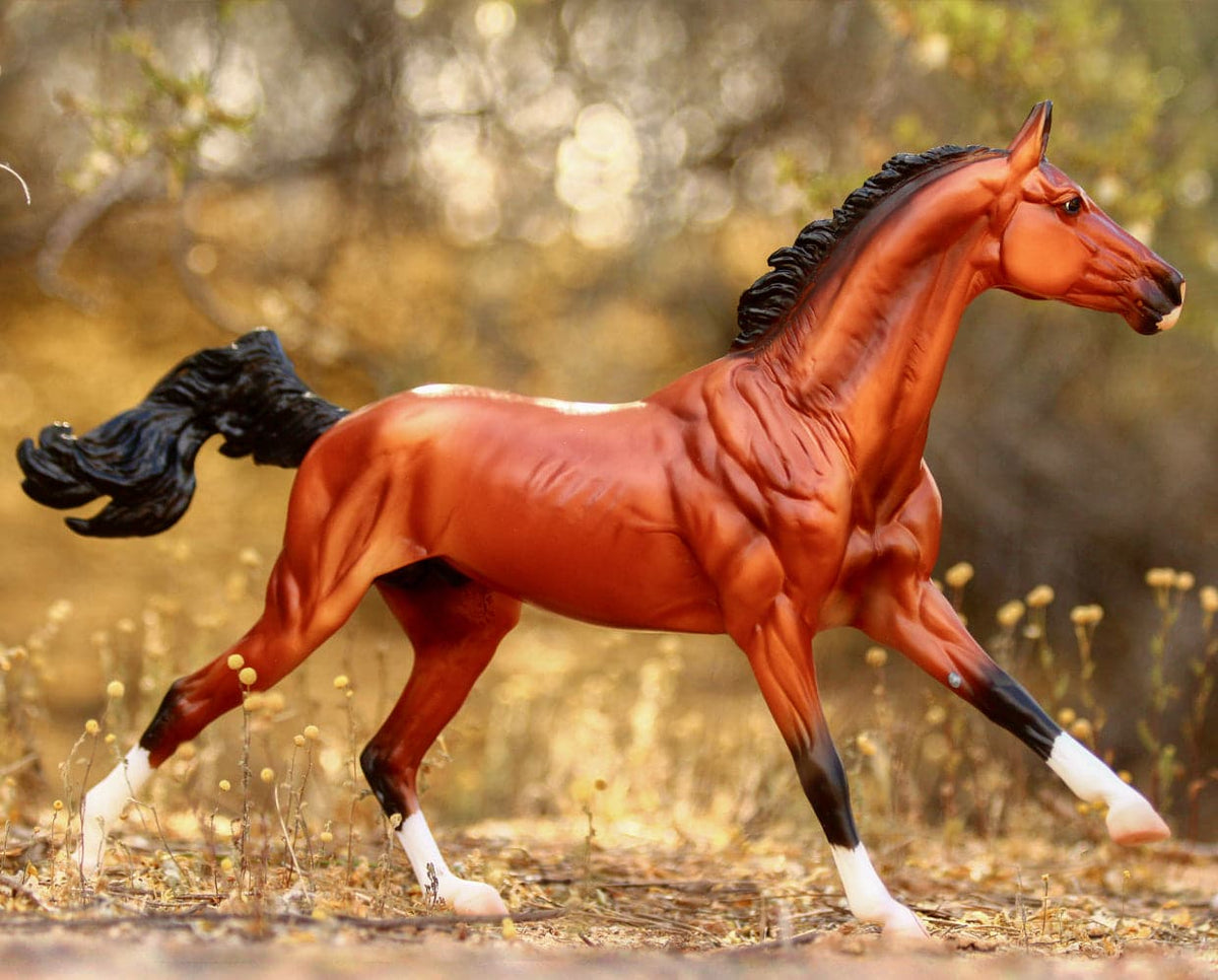 Breyer - Adamek