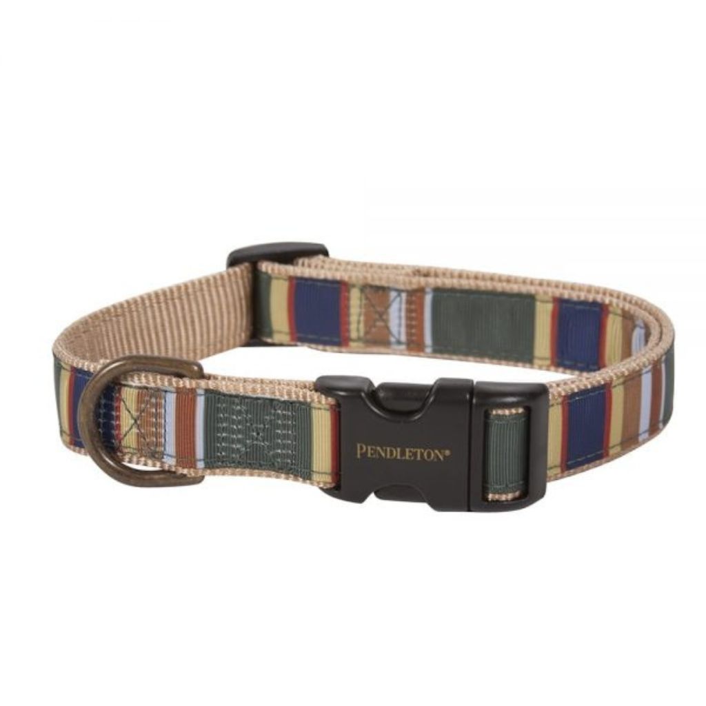 Carolina Pet Company - Pendleton Badlands Dog Collar