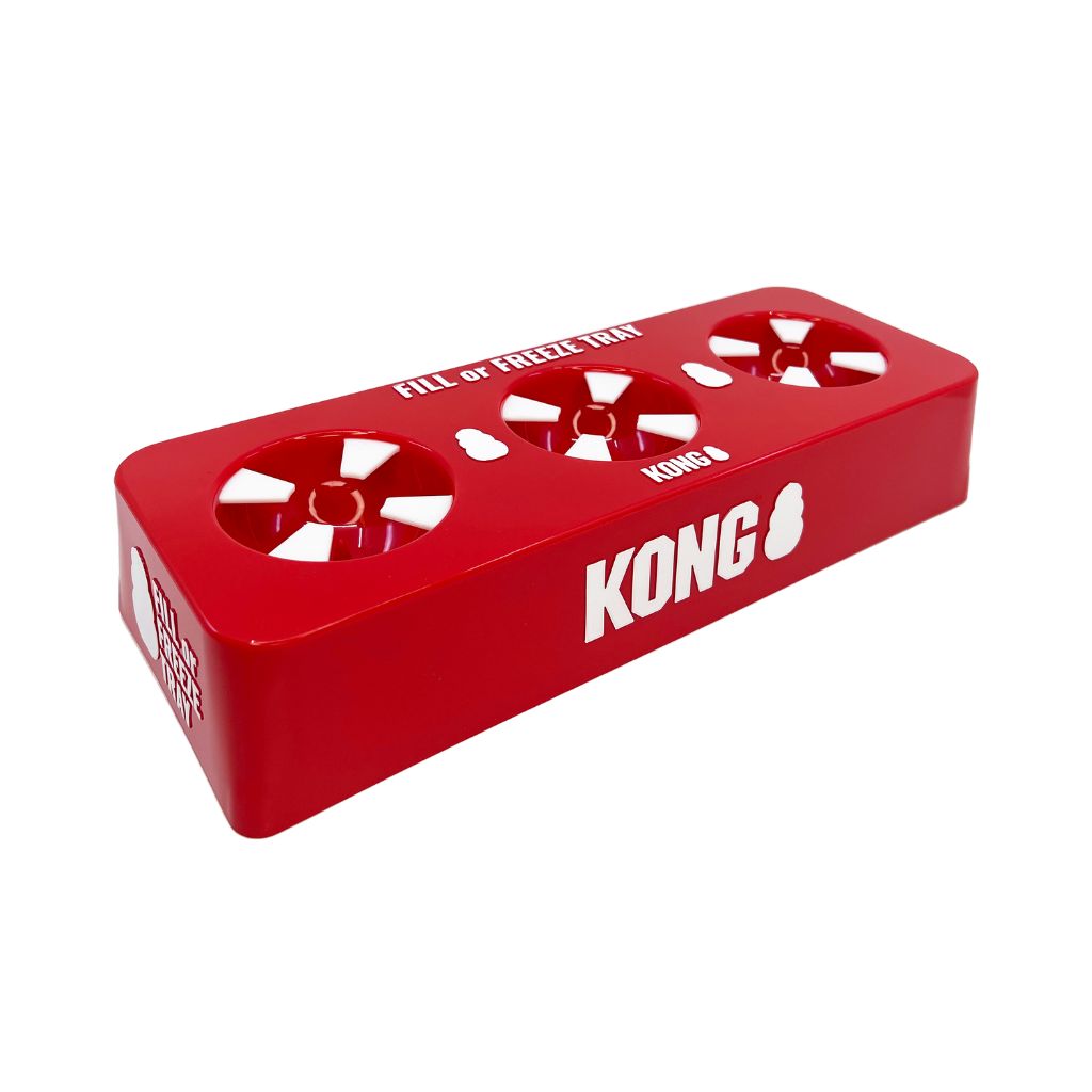 KONG - Freeze or Fill Tray