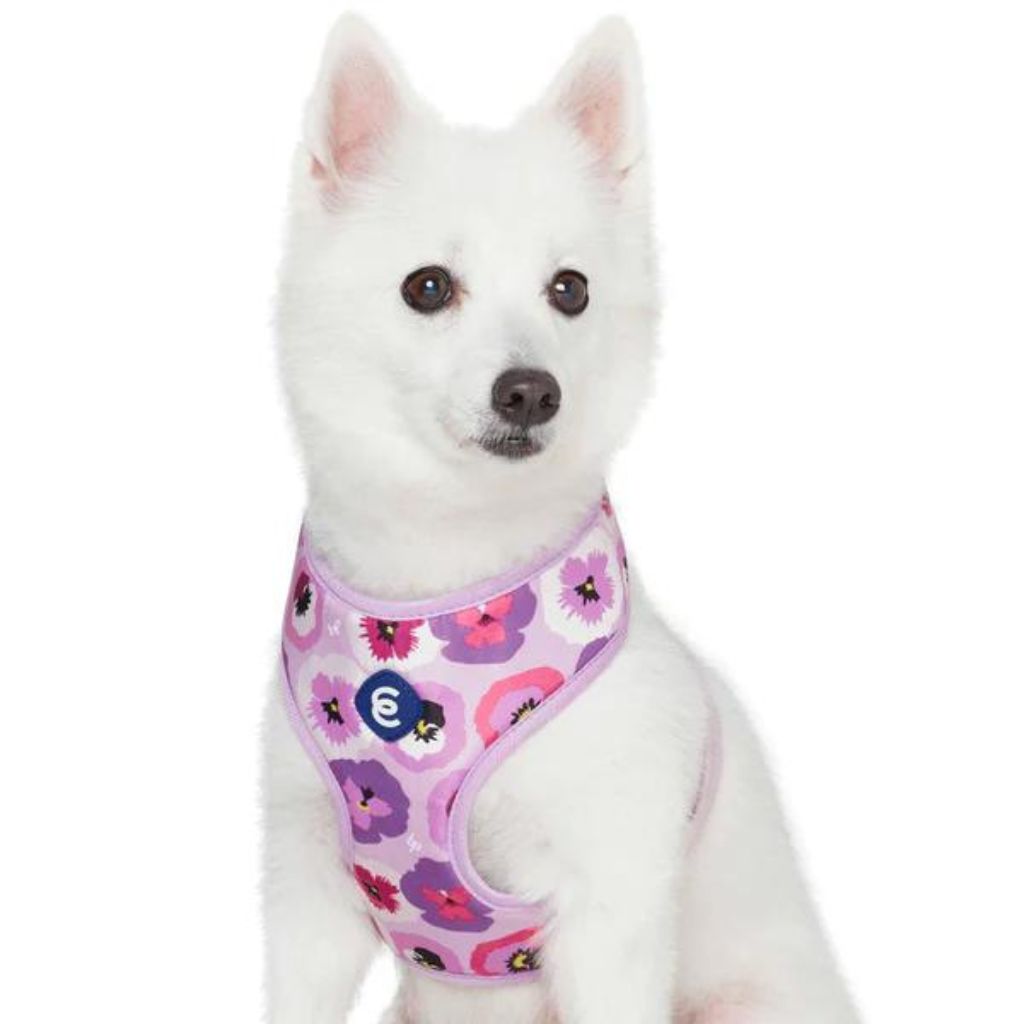Blueberry Pet - Light Purple | Garden Floral Dog Harness Vest