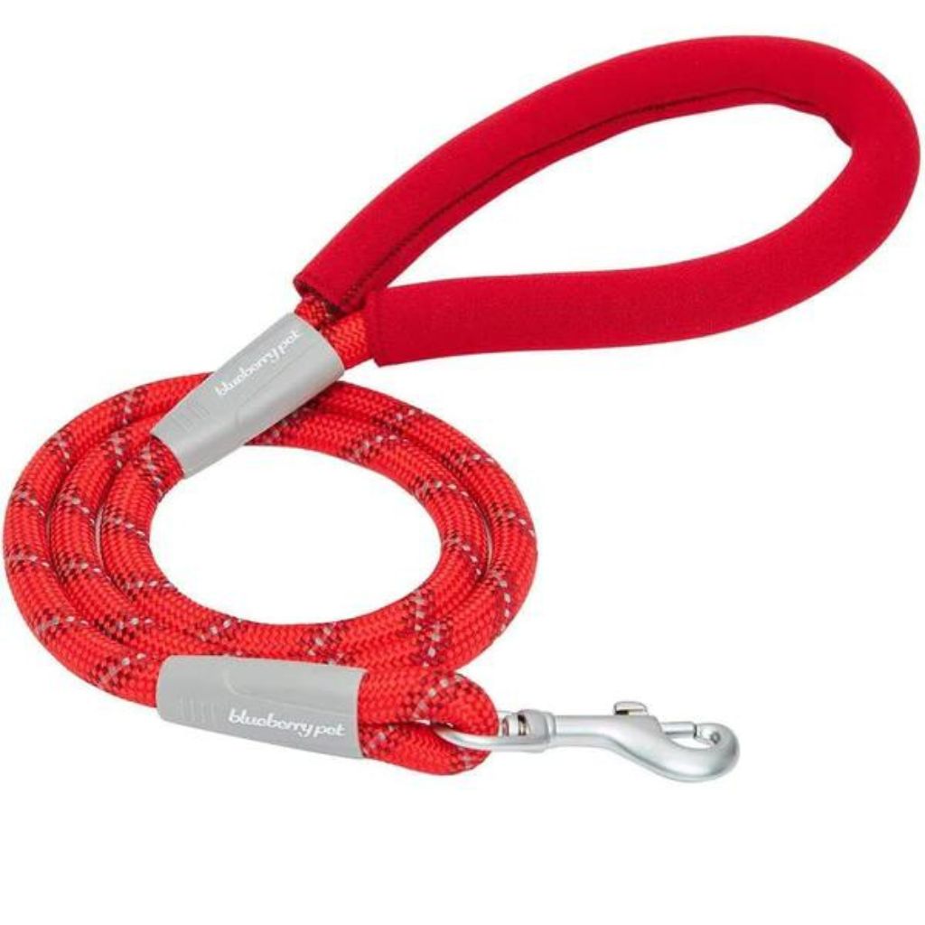 Blueberry Pet - Neoprene Handle Rope Dog Leash in Diagonal Stripe