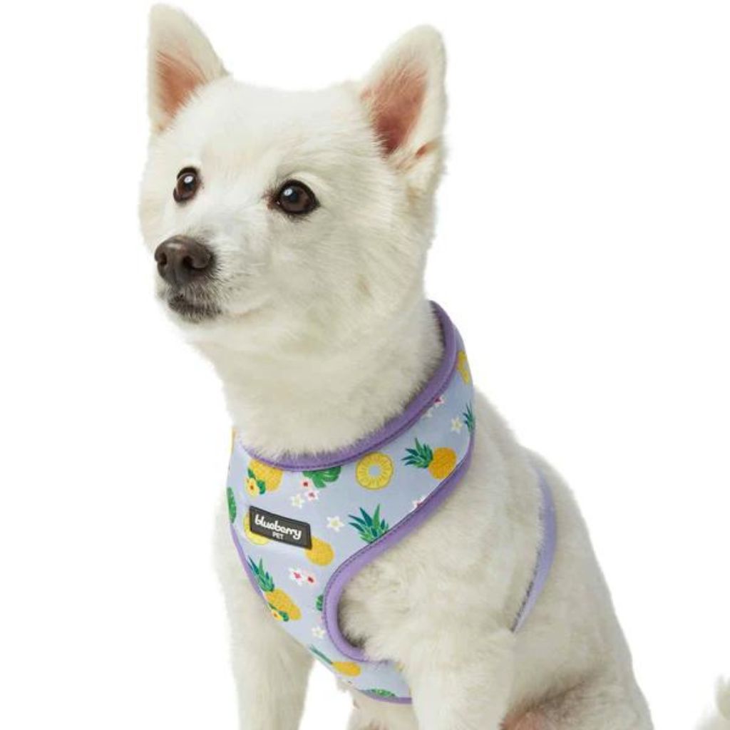 Blueberry Pet - Pineapple | Zesty Fruit Dog Harness Vest