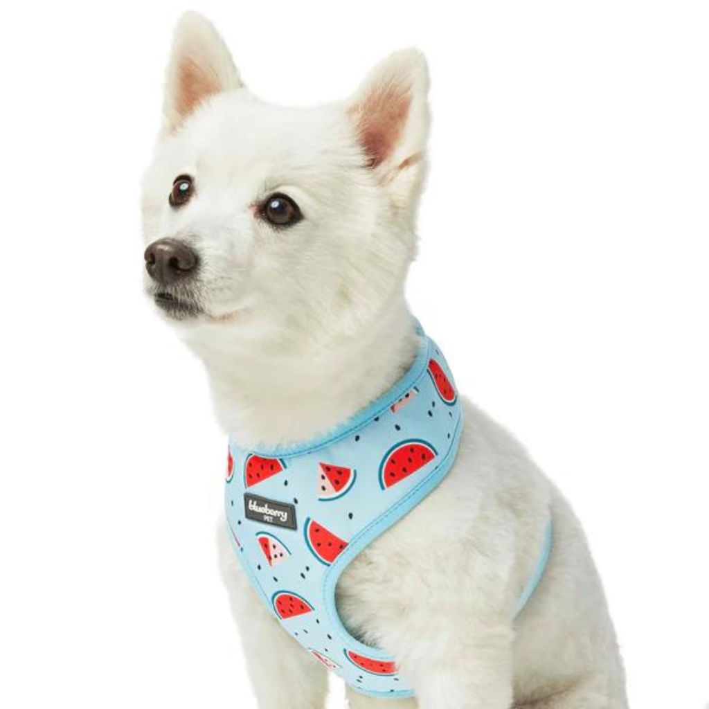 Blueberry Pet - Slices of Watermelon | Zesty Fruit Dog Harness Vest