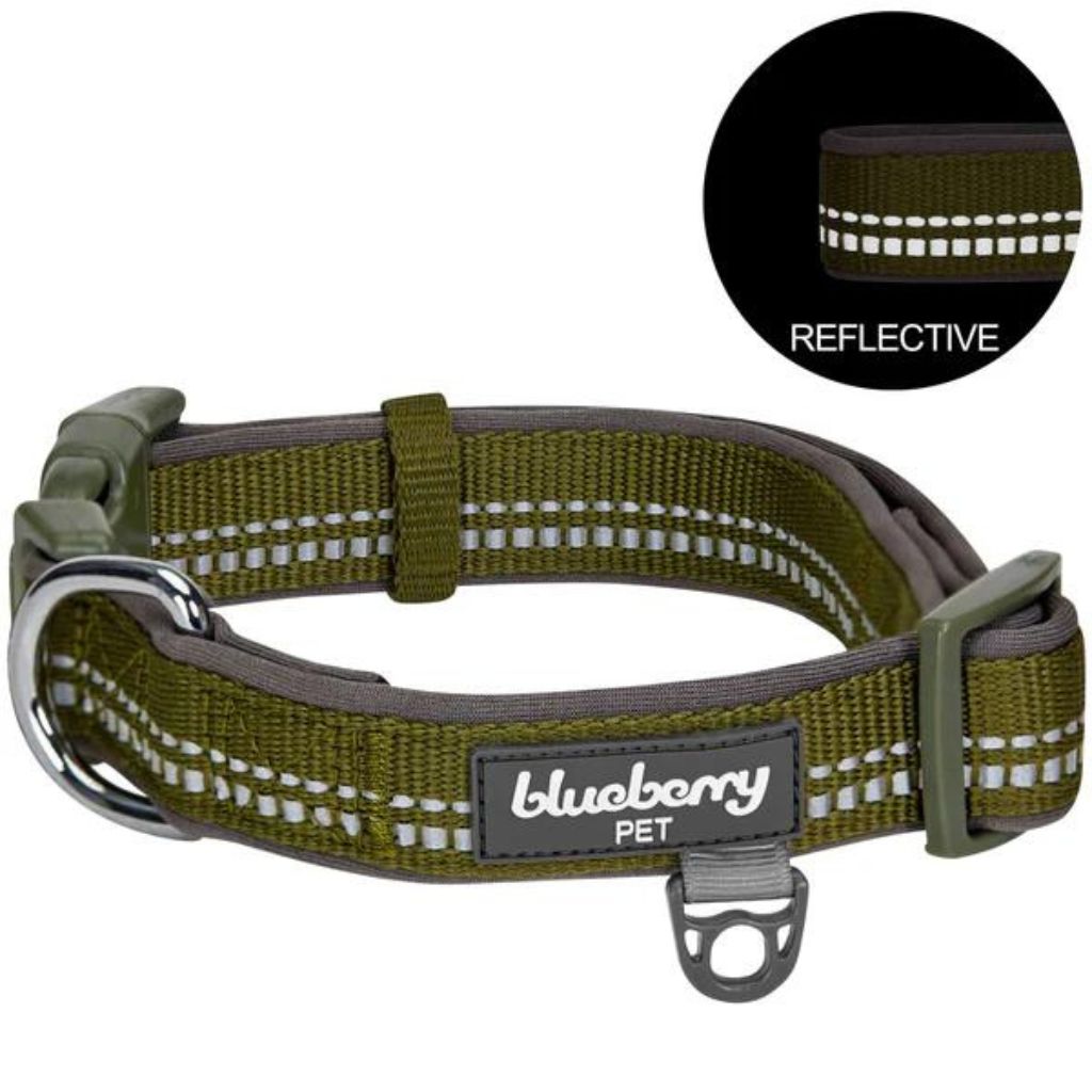 Blueberry Pet - Olive Green | 3M Reflective Neoprene Padded Dog Collar