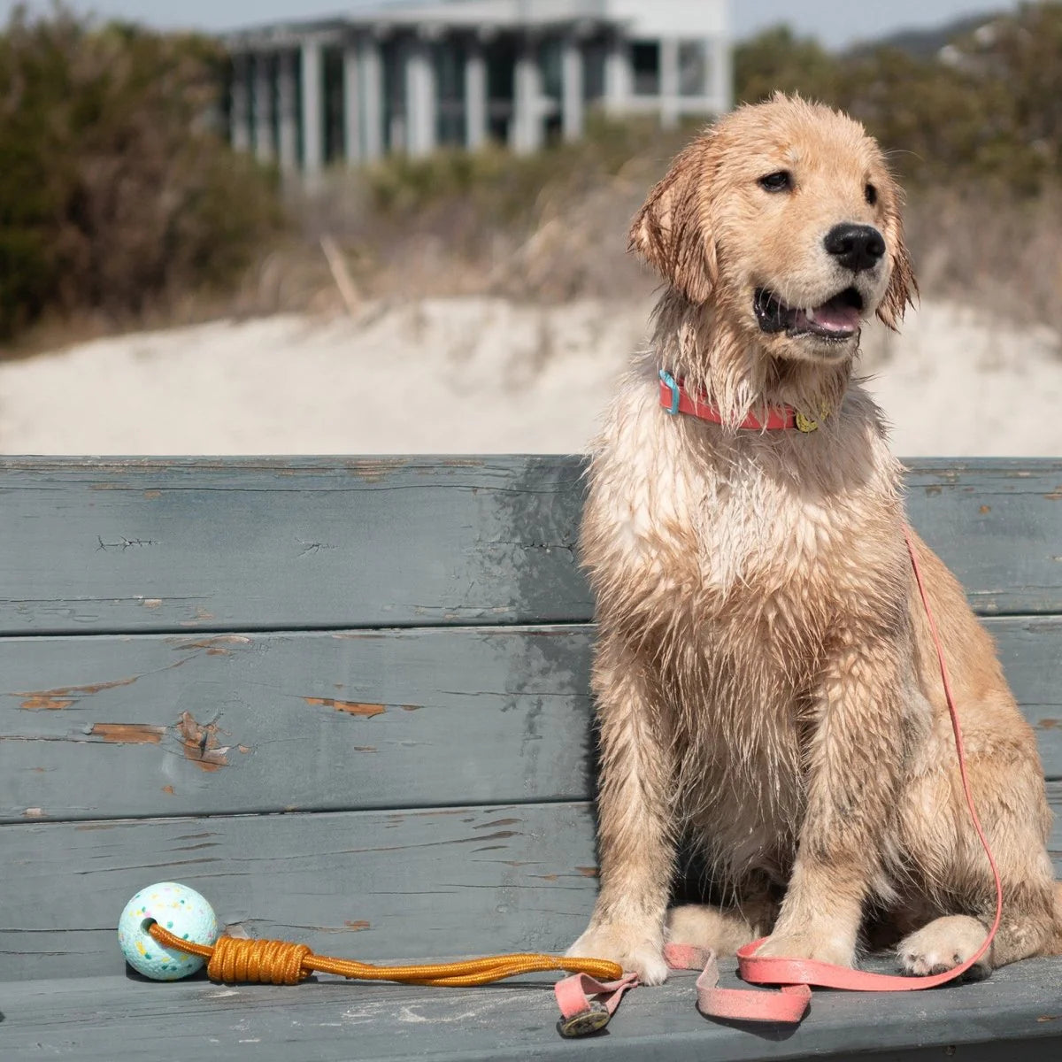 Carolina Pet - Body Glove Tough Tug Toy